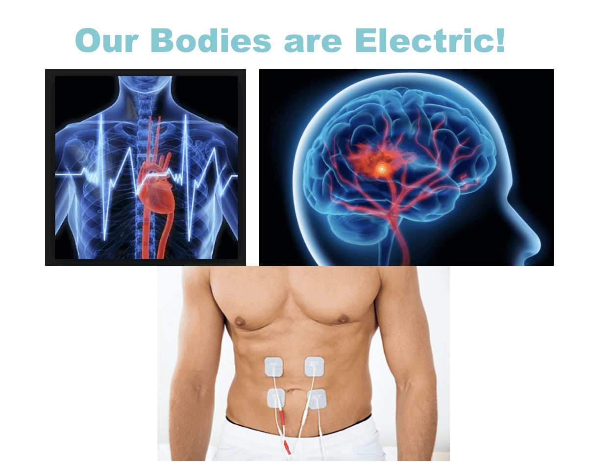 electrical body